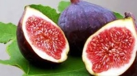 Σύκο: τα οφέλη του απόλυτου καλοκαιρινού φρούτου